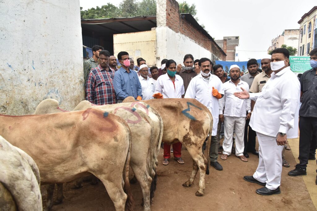 Eat Meat without fear of any disease, say cattle doctors of Telangana State