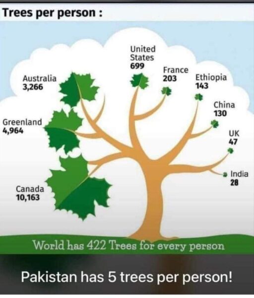 Pakistan has 5 Trees, Tree Percentage, Countries, India, Plantations 
