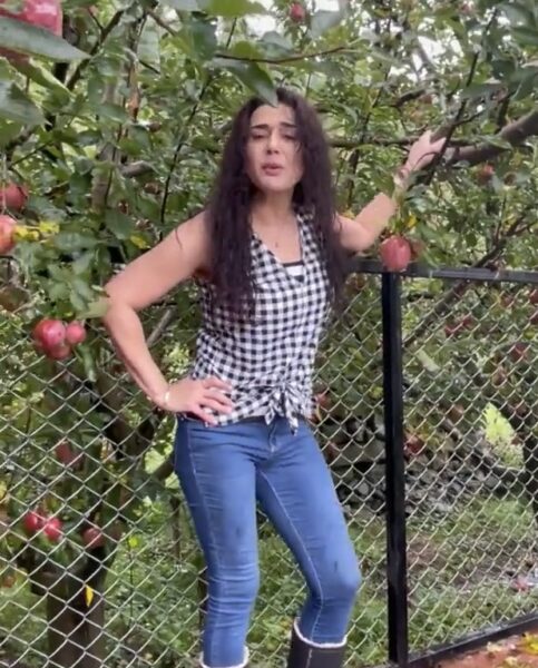 Preity Zinta Says Shimla Apples Best In World — Shares Pics 