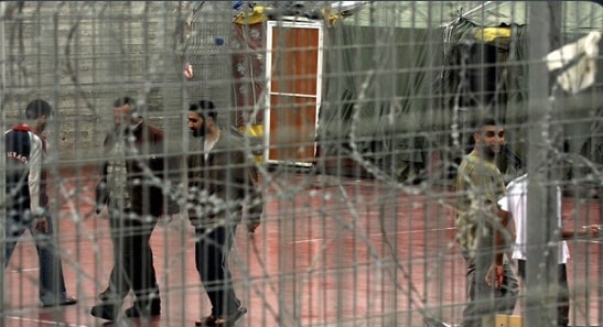 1380 Palestinian Prisoners Begin Hunger Strike Against Oppression